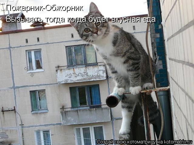 Пожарник-Обжорник Вызывать тогда когда будет вкусная еда... Котоматрица: Пожарник-Обжорник Вызывать тогда когда будет вкусная еда