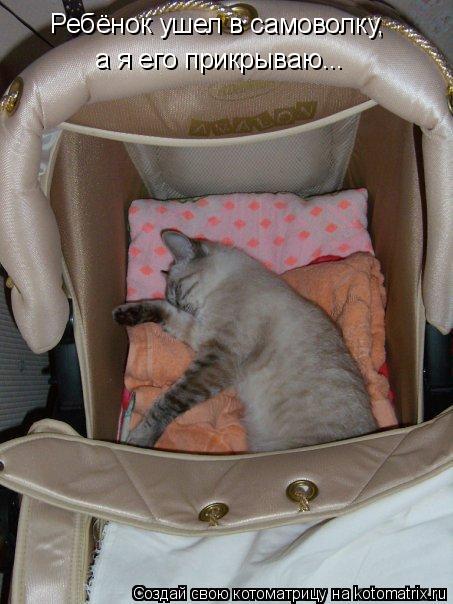 Ребёнок ушел в самоволку, а я его прикрываю...... Котоматрица: Ребёнок ушел в самоволку, а я его прикрываю...