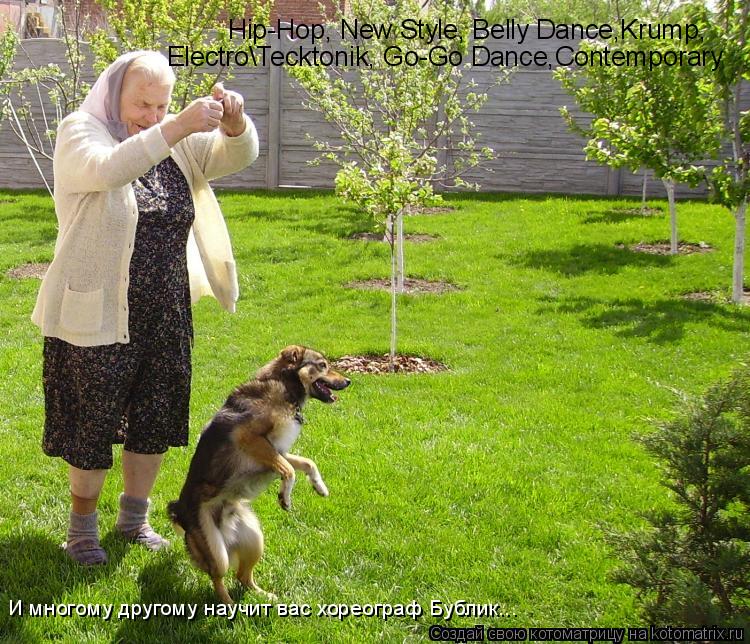 Hip-Hop, New Style, Belly Dance,Krump, Electro\Tecktonik, Go-Go Dance,Contemporary И многому другому ... Котоматрица: Hip-Hop, New Style, Belly Dance,Krump, Electro\Tecktonik, Go-Go Dance,Contemporary И многому другому научит вас хореограф Бублик...