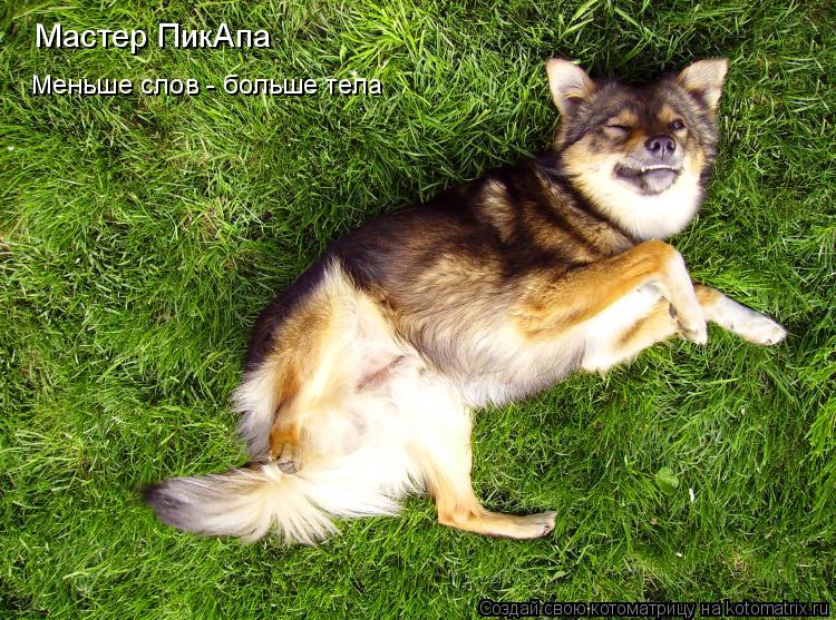 Мастер ПикАпа Меньше слов - больше тела... Котоматрица: Мастер ПикАпа Меньше слов - больше тела
