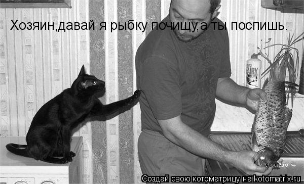 Хозяин,давай я рыбку почищу,а ты поспишь.... Котоматрица: Хозяин,давай я рыбку почищу,а ты поспишь.