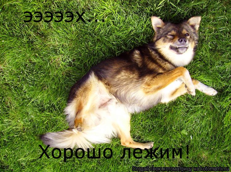 эээээх... Хорошо лежим!... Котоматрица: эээээх... Хорошо лежим!