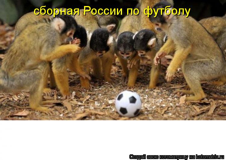сборная России по футболу... Котоматрица: сборная России по футболу