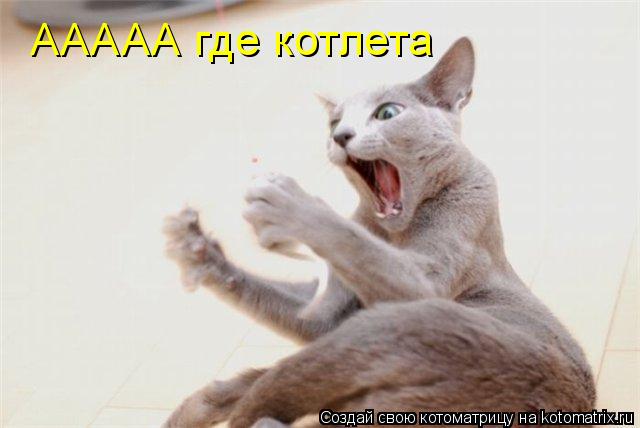 Котоматрица: ААААА где котлета