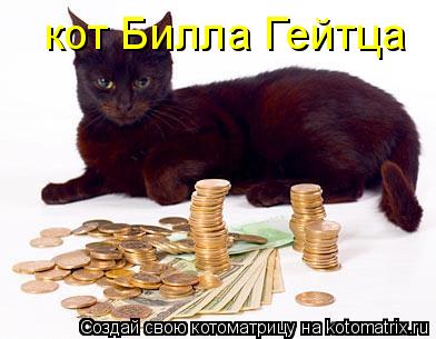 Котоматрица: кот Билла Гейтца