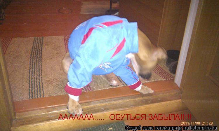 Котоматрица: ААААААА...... ОБУТЬСЯ ЗАБЫЛА!!!!!