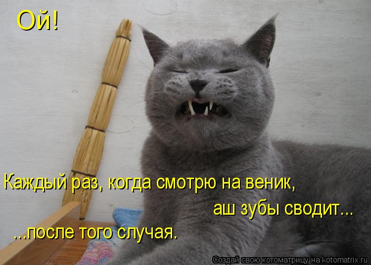 Котоматрица: Ой!  Каждый раз, когда смотрю на веник, аш зубы сводит... ...после того случая.