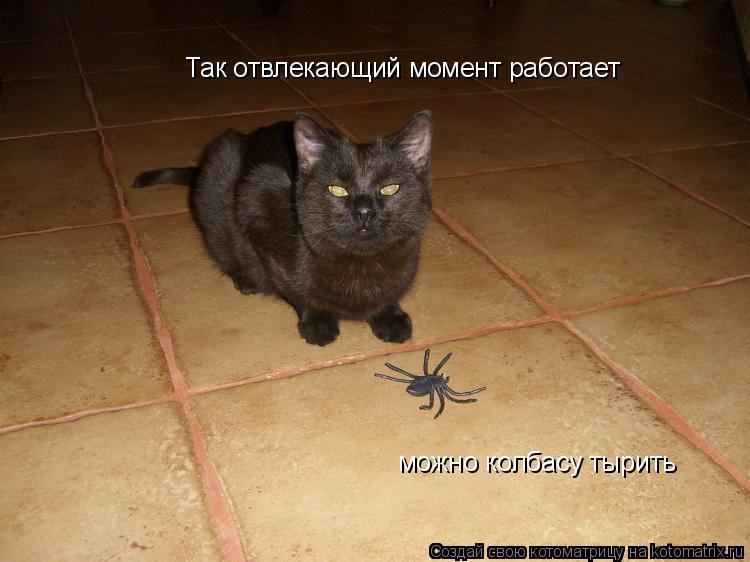 Котоматрица: Так отвлекающий момент работает можно колбасу тырить