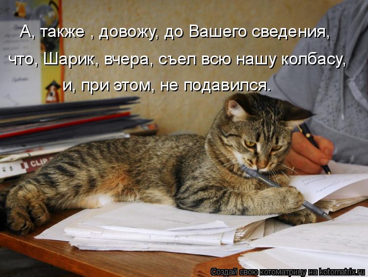 А, также , довожу, до Вашего сведения, что, Шарик, вчера, съел всю нашу колбасу, и, при этом, не пода... Котоматрица: А, также , довожу, до Вашего сведения, что, Шарик, вчера, съел всю нашу колбасу, и, при этом, не подавился.