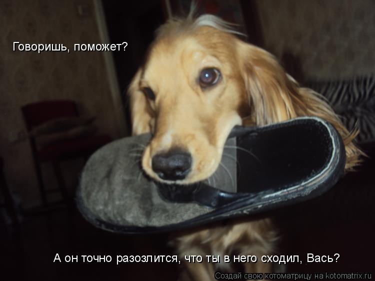 Котоматрица: Говоришь, поможет?  А он точно разозлится, что ты в него сходил, Вась?