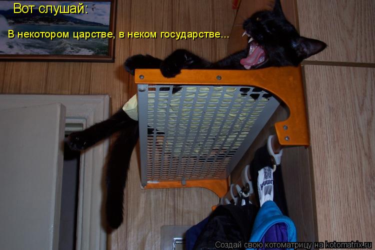 Котоматрица: Вот слушай: В некотором царстве, в неком государстве...