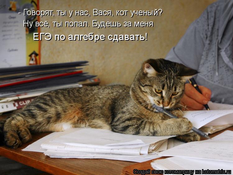 Котоматрица: - Говорят, ты у нас, Вася, кот ученый? Ну всё, ты попал. Будешь за меня ЕГЭ по алгебре сдавать!
