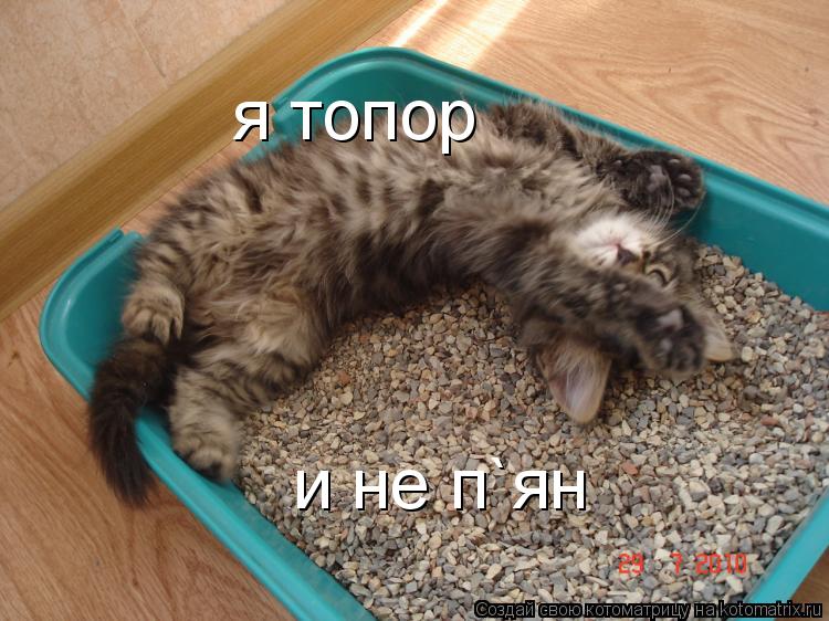 Котоматрица: я топор и не п`ян