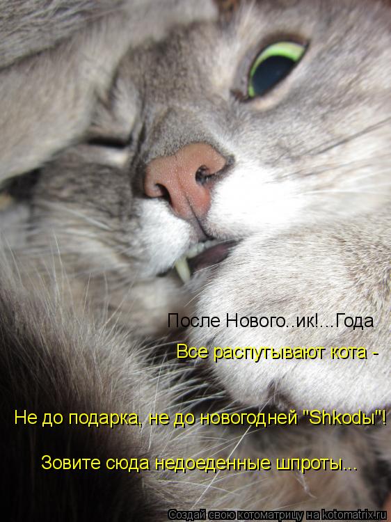 После Нового..ик!...Года Все распутывают кота - Не до подарка, не до новогодней "Shkodы"! Зовите сюда... Котоматрица: После Нового..ик!...Года Все распутывают кота - Не до подарка, не до новогодней "Shkodы"! Зовите сюда недоеденные шпроты...