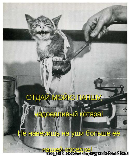 ОТДАЙ МОЙЮ ЛАПШУ, надоедливый котяра! Не навесишь на уши больше её нашей соседке!... Котоматрица: ОТДАЙ МОЙЮ ЛАПШУ, надоедливый котяра! Не навесишь на уши больше её нашей соседке!