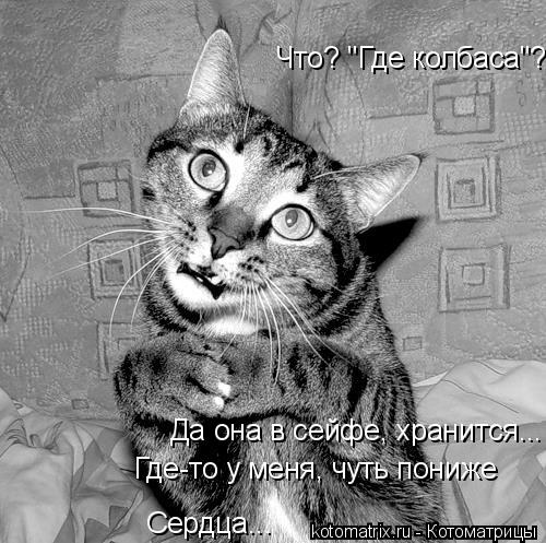Что? "Где колбаса"? Где-то у меня, чуть пониже Да она в сейфе, хранится... Сердца...... Котоматрица: Что? "Где колбаса"? Где-то у меня, чуть пониже Да она в сейфе, хранится... Сердца...