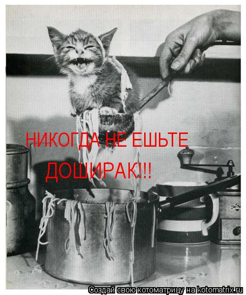 НИКОГДА НЕ ЕШЬТЕ ДОШИРАК!!!... Котоматрица: НИКОГДА НЕ ЕШЬТЕ ДОШИРАК!!!