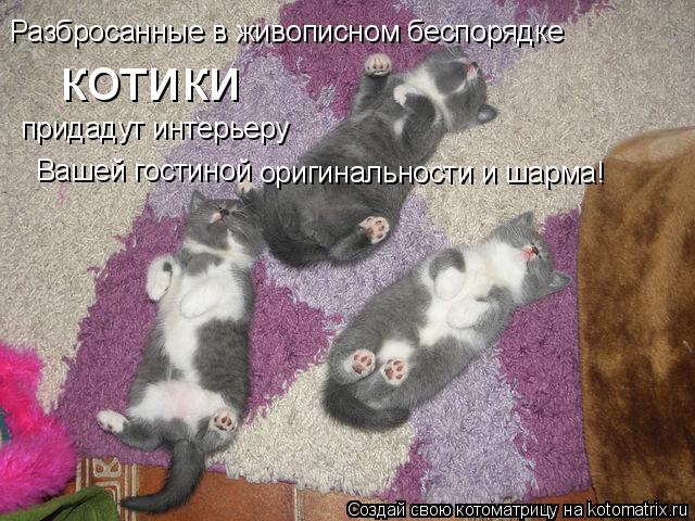 Разбросанные в живописном беспорядке котики придадут интерьеру Вашей гостиной оригинальности и шарма!... Котоматрица: Разбросанные в живописном беспорядке котики придадут интерьеру Вашей гостиной оригинальности и шарма!
