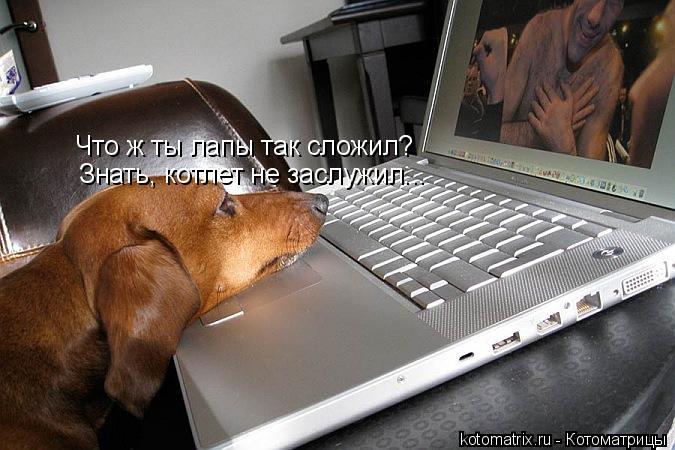 Котоматрица: Что ж ты лапы так сложил? Знать, котлет не заслужил...