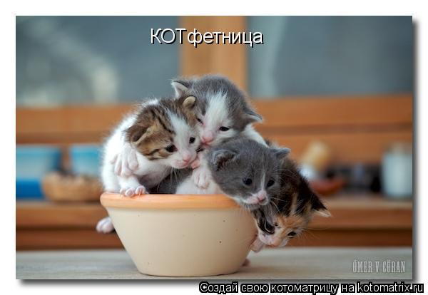Котоматрица: КОТфетница