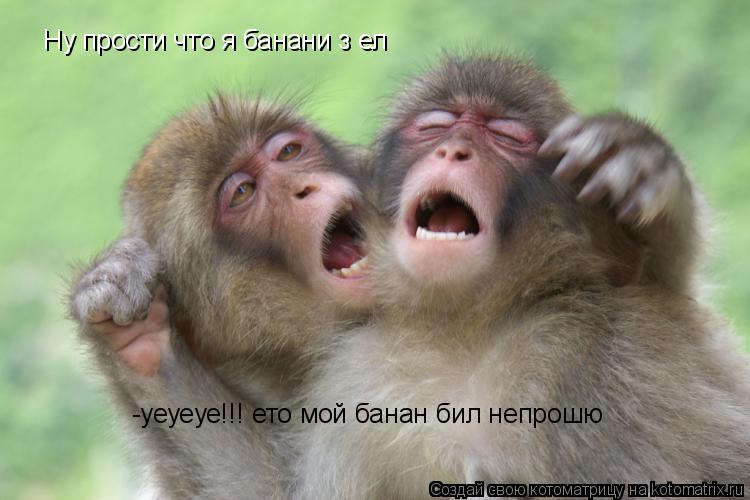 Ну прости что я банани з ел -уеуеуе!!! ето мой банан бил непрошю... Котоматрица: Ну прости что я банани з ел -уеуеуе!!! ето мой банан бил непрошю