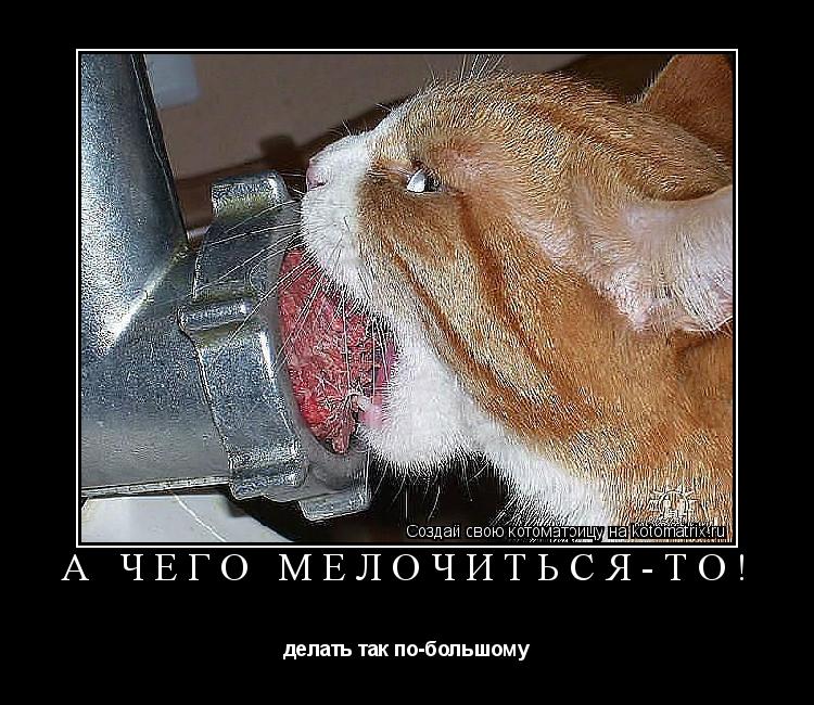 Котоматрица: А чего мелочиться-то! делать так по-большому