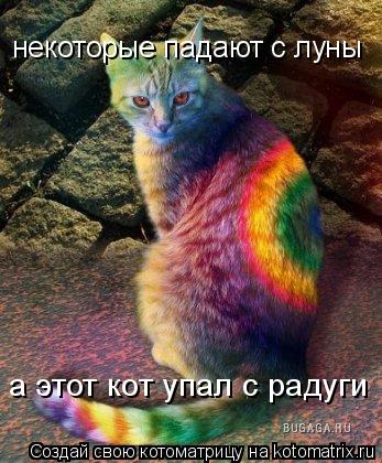 некоторые падают с луны а этот кот упал с радуги... Котоматрица: некоторые падают с луны а этот кот упал с радуги
