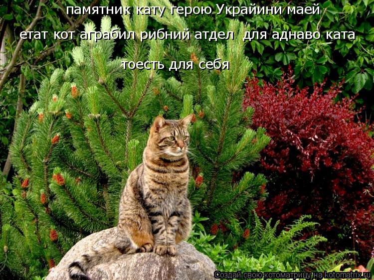 памятник кату герою Украйини маей етат кот аграбил рибний атдел для аднаво ката тоесть для себя... Котоматрица: памятник кату герою Украйини маей етат кот аграбил рибний атдел для аднаво ката тоесть для себя