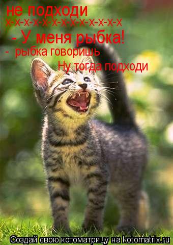 не подходи х-х-х-х-х-х-х-х-х-х-х-х-х - У меня рыбка! - рыбка говоришь Ну тогда подходи... Котоматрица: не подходи х-х-х-х-х-х-х-х-х-х-х-х-х - У меня рыбка! - рыбка говоришь Ну тогда подходи