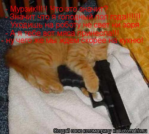 Котоматрица: - Мурзик!!!!! Что это значит? - Значит что я голодный пол года!!!!!! Уходишь на роботу не свет ни зоря - А я тебе вот мяса принесла!!! - ну чего же мы