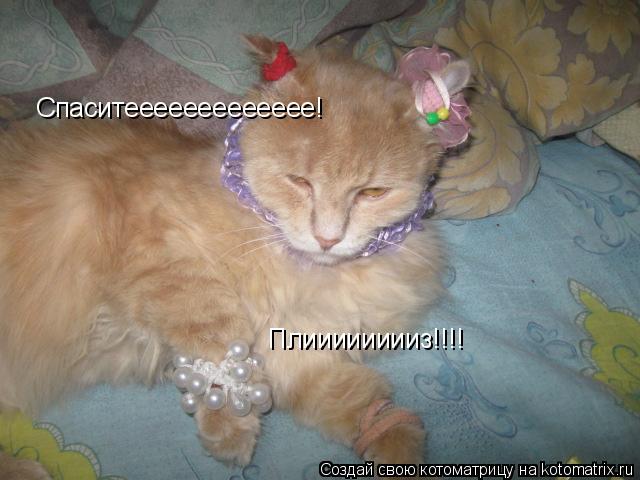 Котоматрица: Спаситеееееееееееее! Плииииииииз!!!!