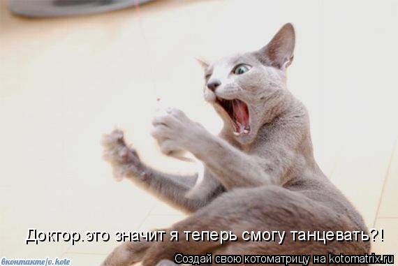 Котоматрица: Доктор.это значит я теперь смогу танцевать?!