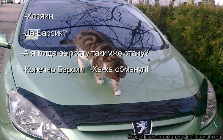 Котоматрица: -Хозяин. -Да Барсик? -А я когда выросту такимже стану? -Конечно Барсик!  -Ха-ха обманул!