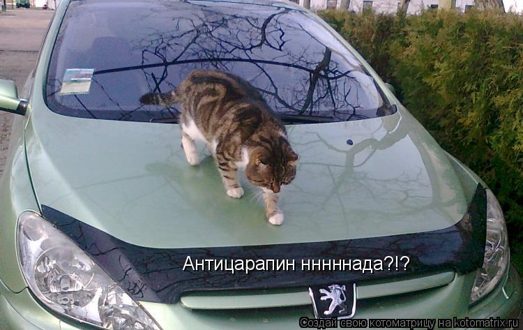 Котоматрица: Антицарапин нннннада?!?