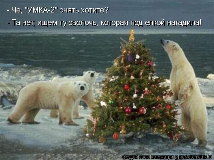 Котоматрица: - Че, "УМКА-2" снять хотите? - Та нет, ищем ту сволочь, которая под елкой нагадила!