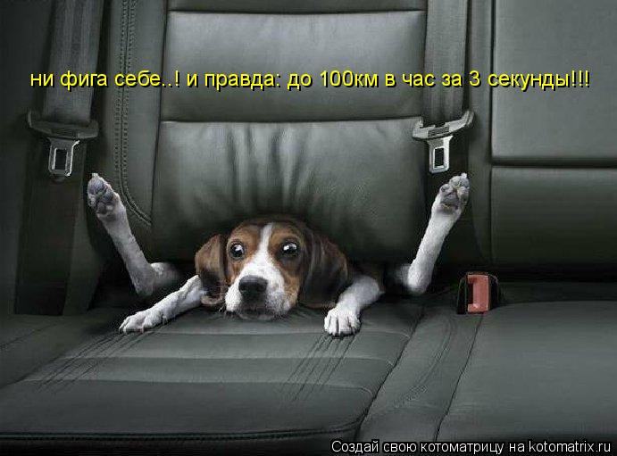Котоматрица: ни фига себе..! и правда: до 100км в час за 3 секунды!!!