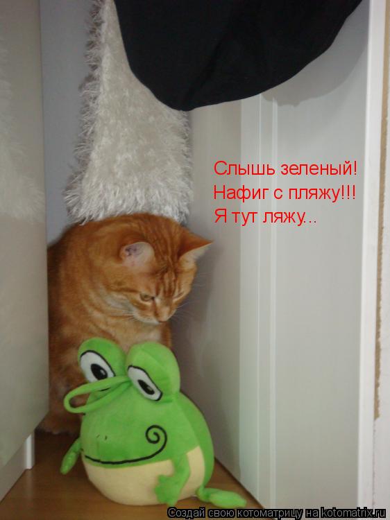 Котоматрица: Слышь зеленый! Нафиг с пляжу!!! Я тут ляжу...