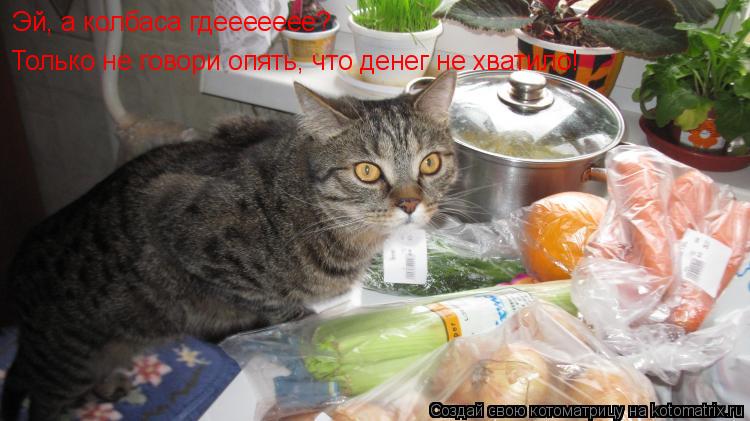 Котоматрица: Эй, а колбаса гдеееееее? Только не говори опять, что денег не хватило!