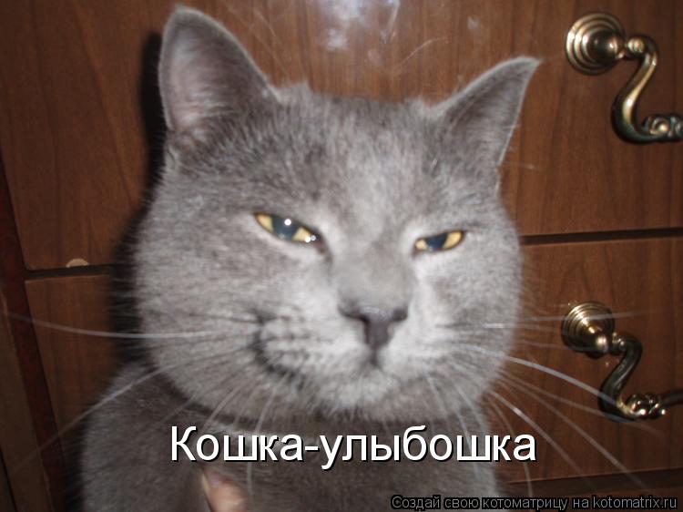 Котоматрица: Кошка-улыбошка