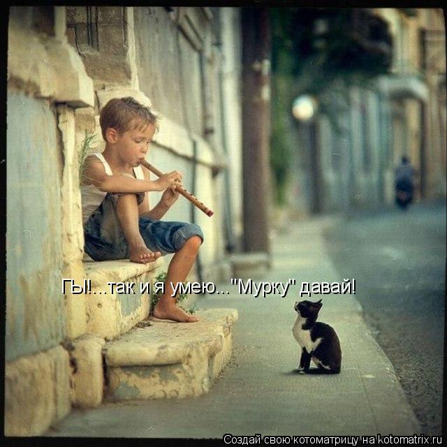 Котоматрица: ГЫ!...так и я умею..."Мурку" давай!