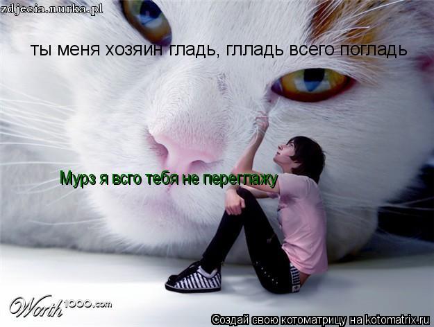 Котоматрица: ты меня хозяин гладь, глладь всего погладь Мурз я всго тебя не переглажу