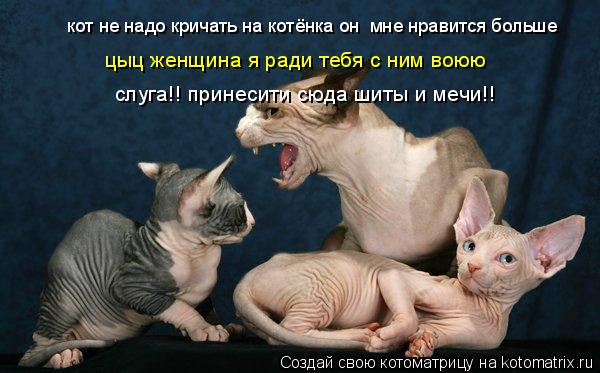 Котоматрица: кот не надо кричать на котёнка он  мне нравится больше цыц женщина я ради тебя с ним воюю слуга!! принесити сюда шиты и мечи!!