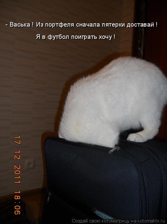 Котоматрица: - Васька ! Из портфеля сначала пятерки доставай ! Я в футбол поиграть хочу !