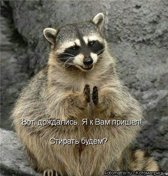 Котоматрица: Вот, дождались. Я к Вам пришел! Стирать будем?