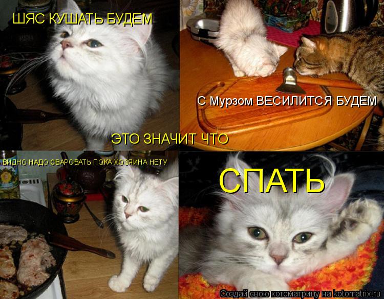 Котоматрица: ЭТО ЗНАЧИТ ЧТО ШЯС КУШАТЬ БУДЕМ С Мурзом ВЕСИЛИТСЯ БУДЕМ  ВИДНО НАДО СВАРОВАТЬ ПОКА ХОЗЯИНА НЕТУ СПАТЬ