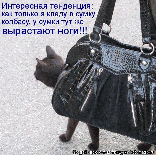Котоматрица: Интересная тенденция: как только я кладу в сумку колбасу, у сумки тут же вырастают ноги!!!