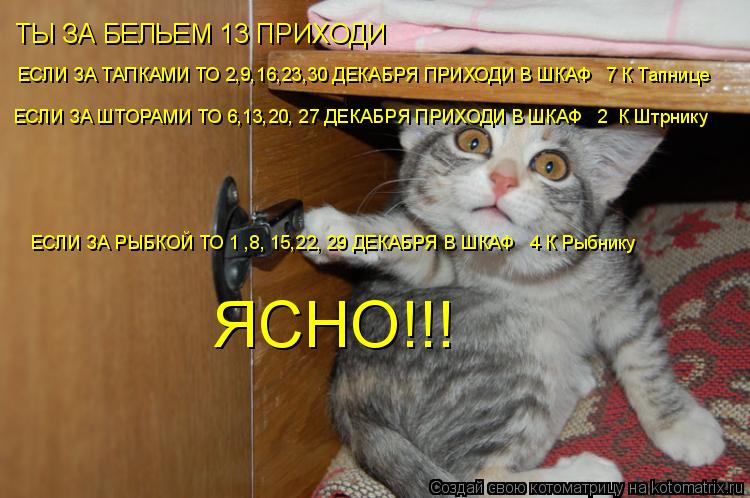 Котоматрица: ТЫ ЗА БЕЛЬЕМ 13 ПРИХОДИ ЕСЛИ ЗА ТАПКАМИ ТО 2,9,16,23,30 ДЕКАБРЯ ПРИХОДИ В ШКАФ № 7 К Тапнице ЕСЛИ ЗА ШТОРАМИ ТО 6,13,20, 27 ДЕКАБРЯ ПРИХОДИ В ШКАФ № 2