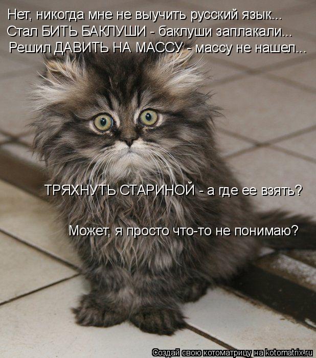 Котоматрица: Нет, никогда мне не выучить русский язык... Стал БИТЬ БАКЛУШИ - баклуши заплакали... Решил ДАВИТЬ НА МАССУ - массу не нашел... ТРЯХНУТЬ СТАРИНОЙ 