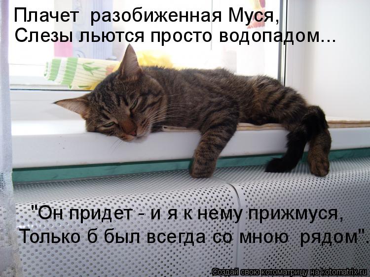 Котоматрица: Слезы льются просто водопадом... Плачет  разобиженная Муся,  "Он придет - и я к нему прижмуся, Только б был всегда со мною  рядом".