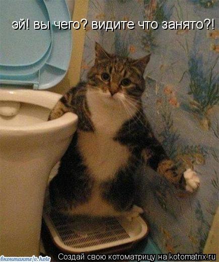 Котоматрица: эй! вы чего? видите что занято?!